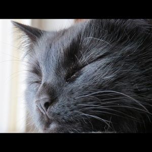 Meet your Posher, Cheryl